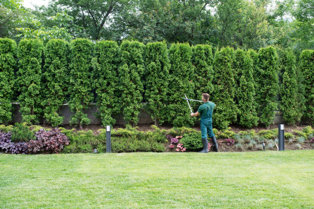 Best Soil Testing and Treatment  in Marlinton, WV