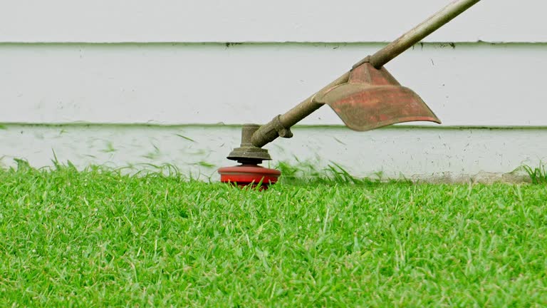 How Our Tree Care Process Works  in  Marlinton, WV