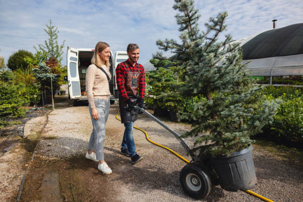Best Root Management and Removal  in Marlinton, WV
